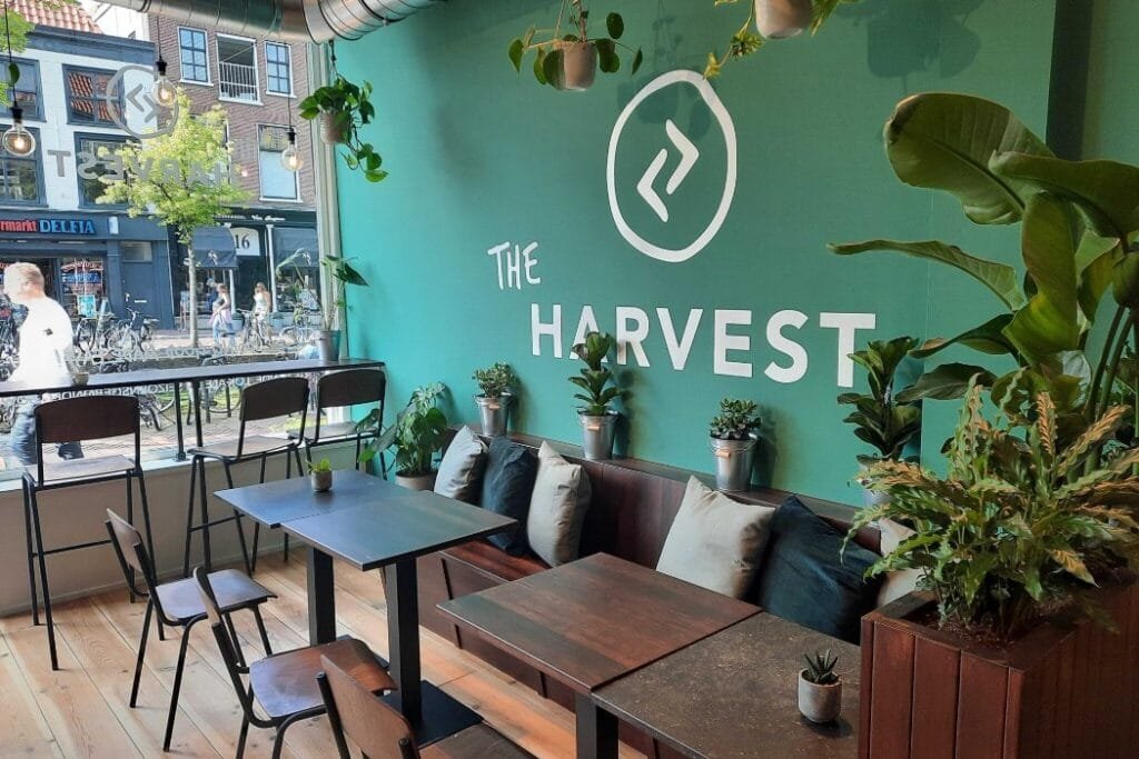 Gezond eten bij “The Harvest” nu met korting